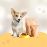 สร้างแบรนด์อาหารหมา