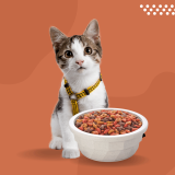 โรงงานผลิตอาหารแมว